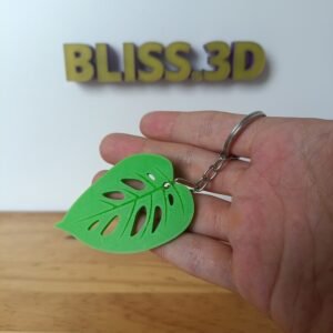 Llavero Monstera adansolin