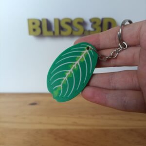 Llavero Planta oracion