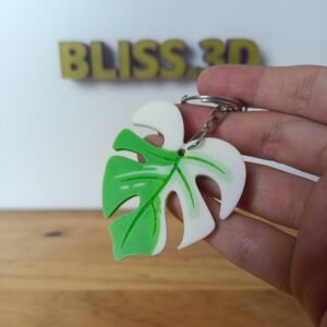 Llavero Monstera Albo