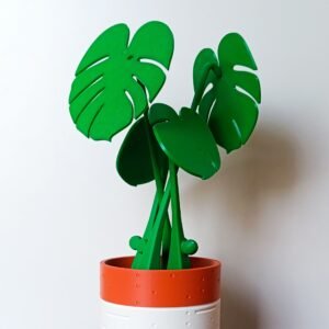 Monstera PosaVasos