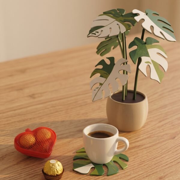 Kit 3 - Monstera